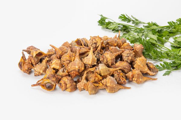 CARACOLES DE MAR 