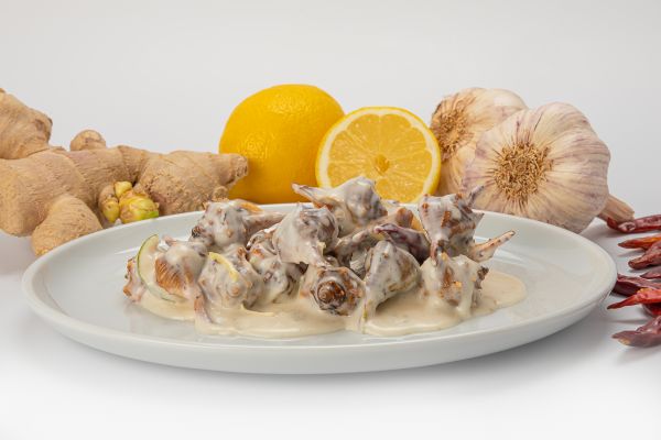 CARACOLES DE MAR 